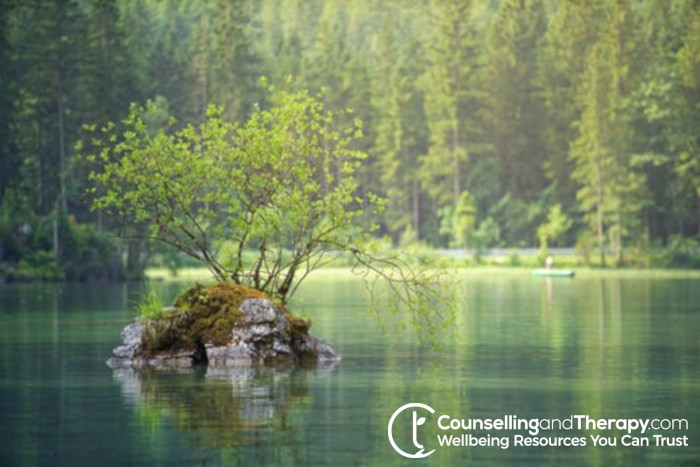 Humanistic and Integrative Psychotherapy