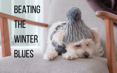 Winter Blues or Seasonal Affective Disorder (SAD)